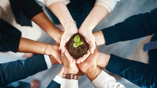 Ausgewählte NRP Projekte