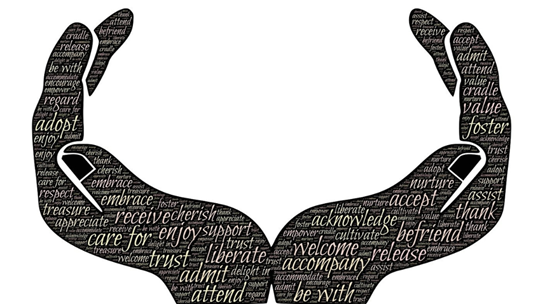 Organisation, Unsere Werte